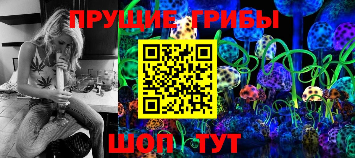 Камень-на-Оби  Псилоцибиновые грибы прущие грибы  Вход с VPN 