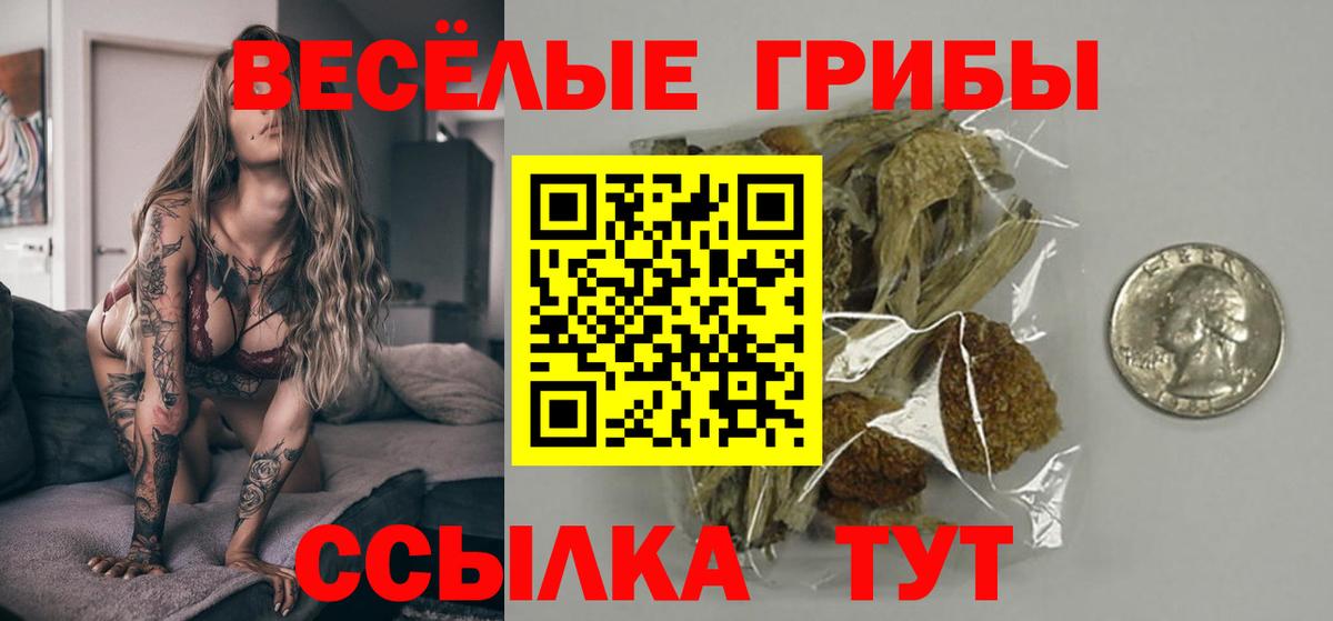 Псилоцибиновые грибы мухоморы Камень-на-Оби
